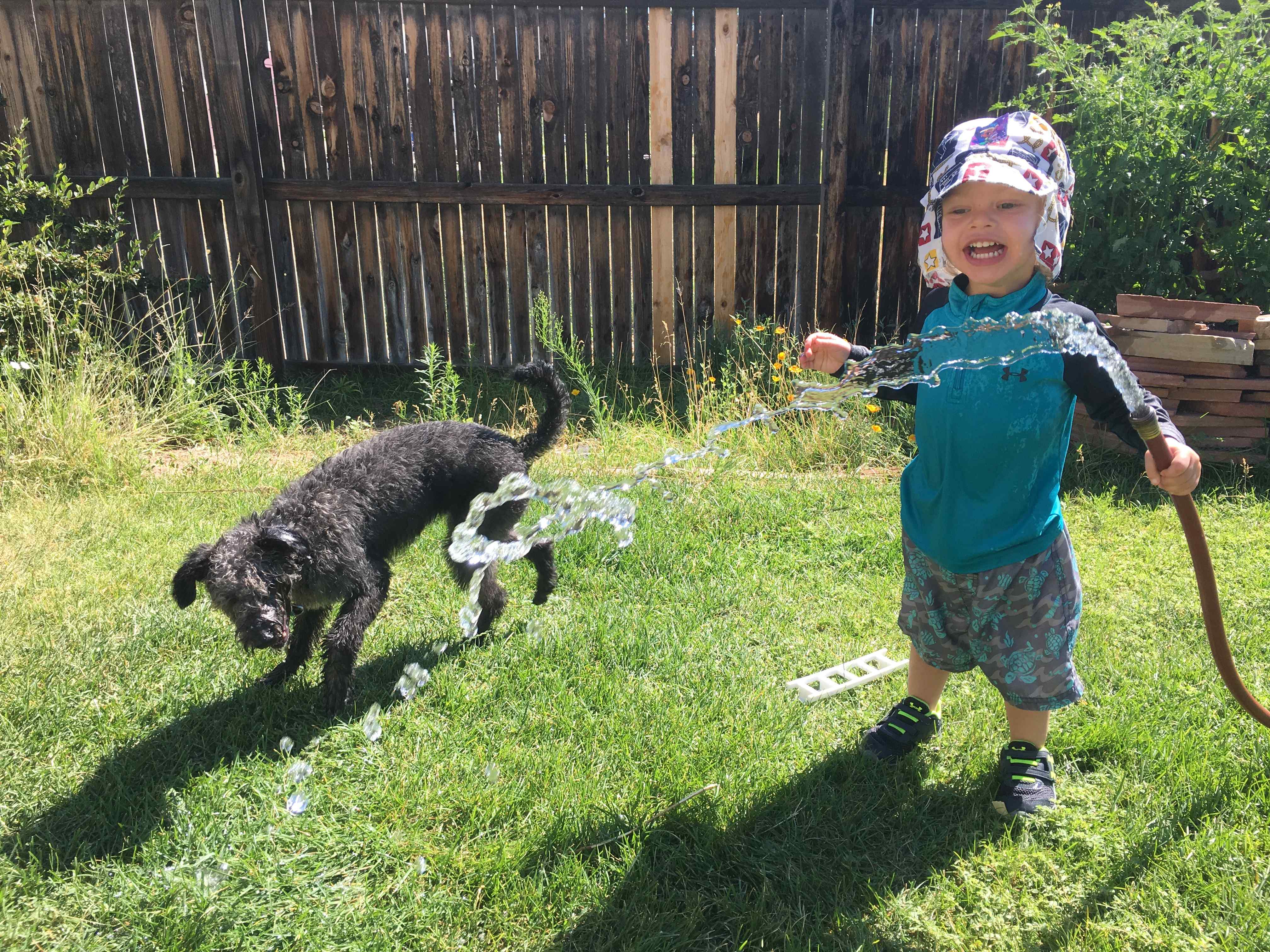 child playing with dog